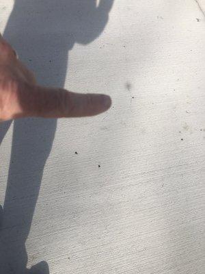 Rocco Colucci Construction