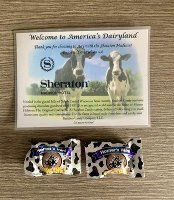 Sheraton Madison Hotel