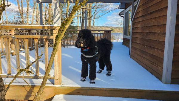 Sag Harbor Veterinary Clinic