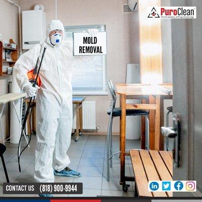 Puroclean of Northridge