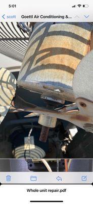 American Home Shield