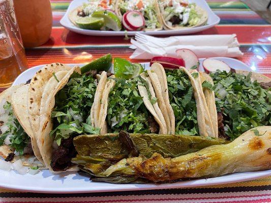 Tortilleria Taqueria Lenchita