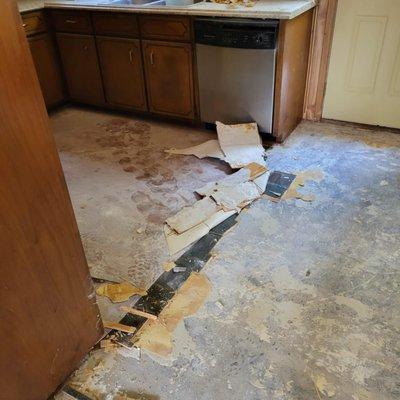 Cega Flooring & Carpet