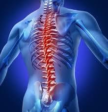 Affordable Chiropractic