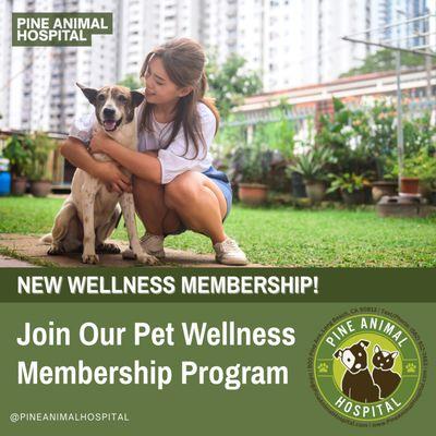 Pine Animal Hospital