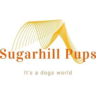 Sugarhill Pups
