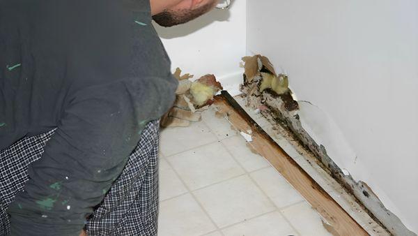 Water Damage Restoration Celina