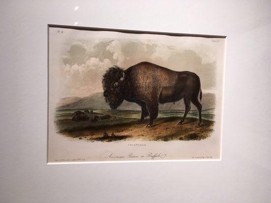 Museum of Nebraska Art