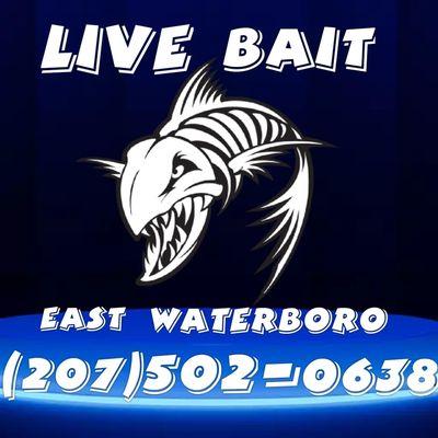 Live Bait East Waterboro