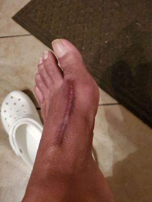 Dale Wilford Lane, DPM