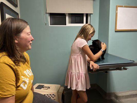 Cat exam room table.