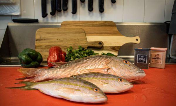 Beautiful yellow tails!!! Always fresh!!