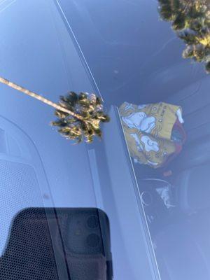 Area where they fixed. I cant find the spot anymore. YAY!