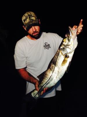39 inch snook off native shrimp thing was a beast