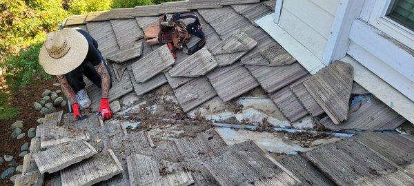 Higher Level Roofing