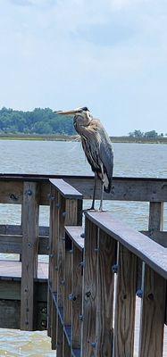 Gulf Islands National Seashore
