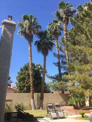 Superb Landscape and Maintenance