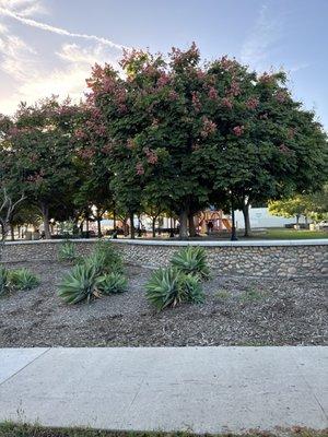 Ward Canyon Neighborhood Park