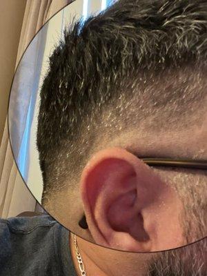 Cut N Shave Barbershop