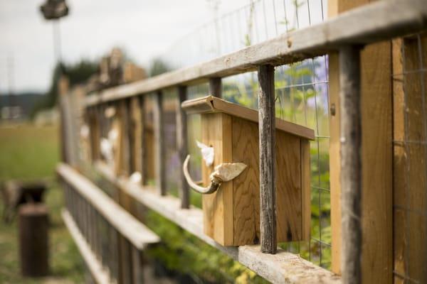 The Rusty Gate Nursery