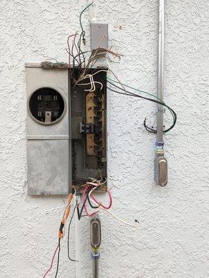 Frankie Expert Electric