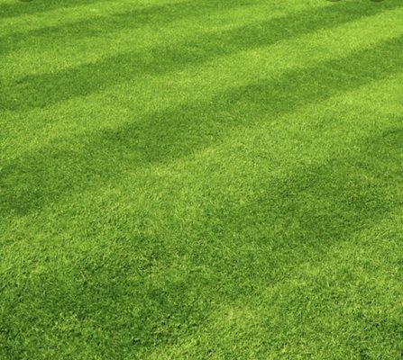 Leshown & Son Landscaping