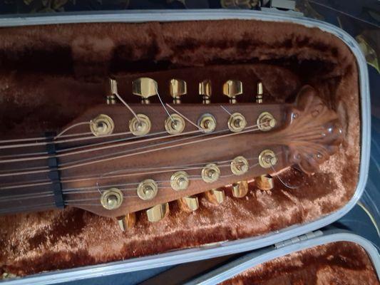 12 string guitar