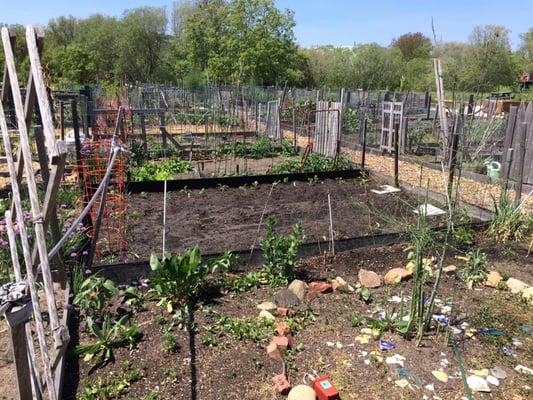 B Street Garden