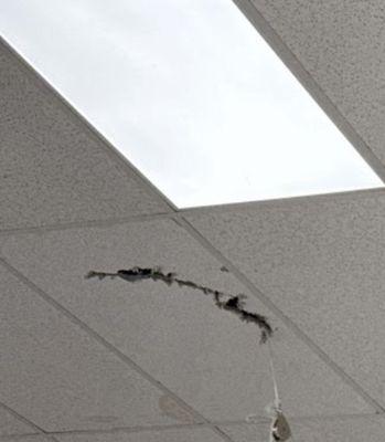 Fairytale Event Venue