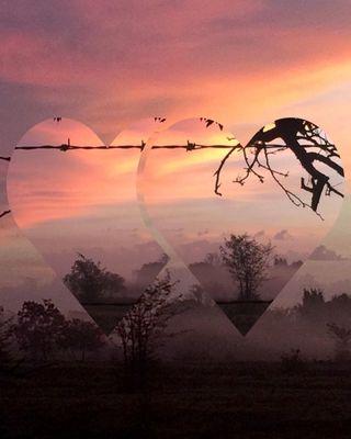 Mike Wood Memorial Park