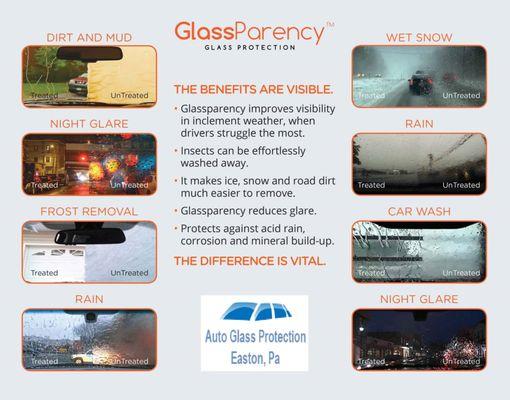 Auto Glass Protection