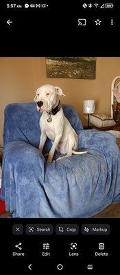 Salty Paws Veterinary Hospital