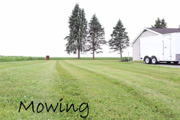 Mowing