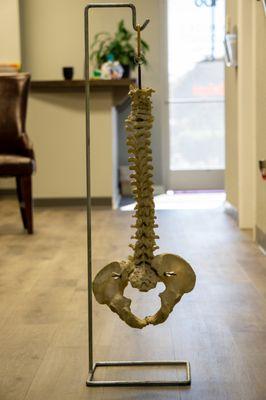 San Antonio Family Chiropractic