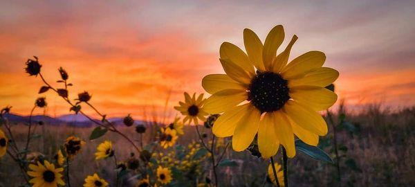 Custom Tailoring by Charissa