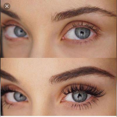 Elegant Perfection PMU