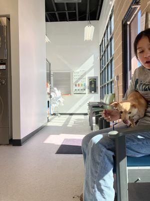 Lolo's Laundry Services