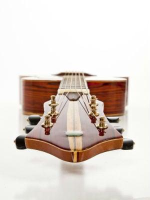 Pinol Guitars And Ukuleles