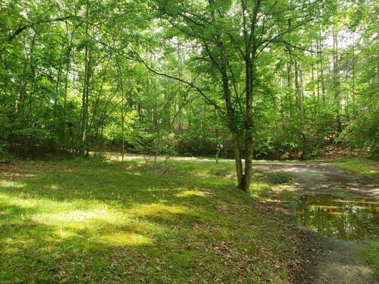 Bossman Hauling & Sanitation