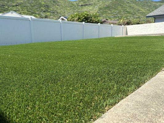 Synthetic turf installation with pet friendly turf