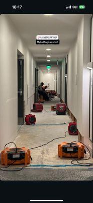 Cushman and Wakefield