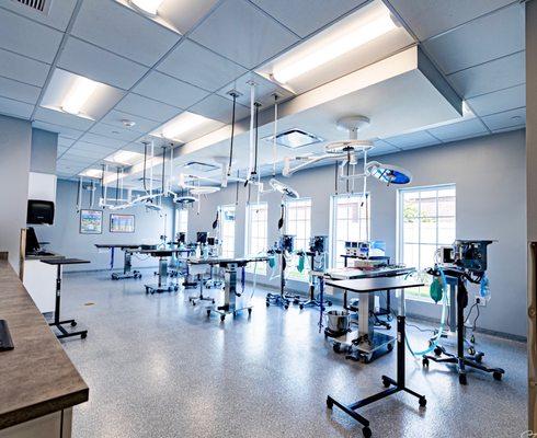 Veterinary Surgical Center of Long Island