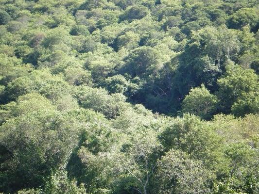 Rodman's Hollow- Block Island