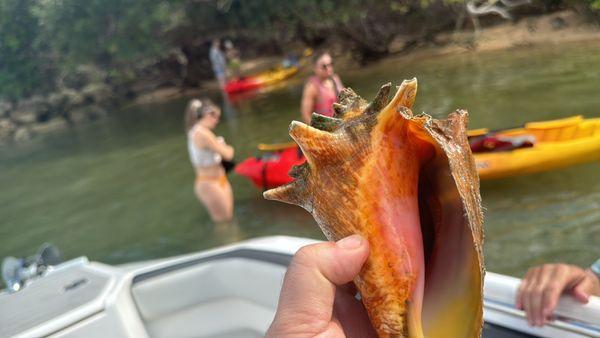 Aquatic Adventures FL