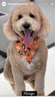 Atlantic Veterinary Hospital