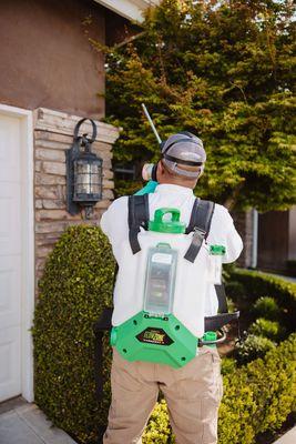 Residential spider control with no contract required.