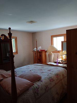 The Handyman Painter