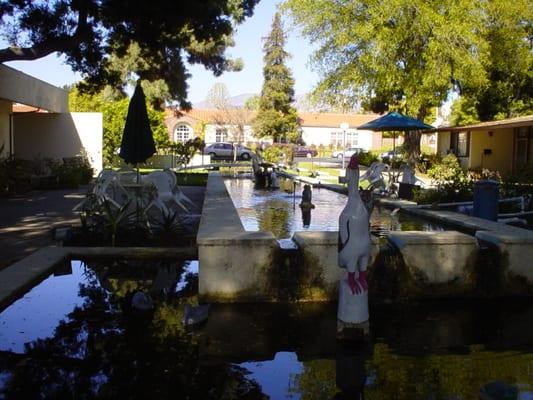 Reflecting pool & waterfall at the main entrance to the property.
