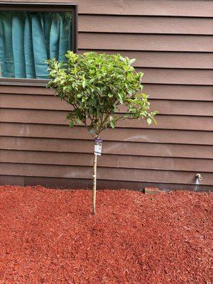 River Blue Landscaping