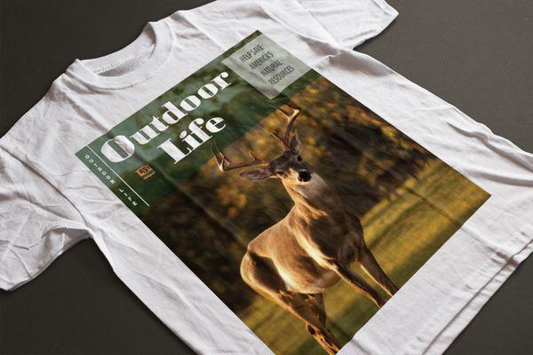 Grandimagination Graphic Design Branding